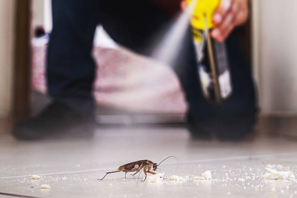 Best Exterminator Services  in Fredericktown, OH
