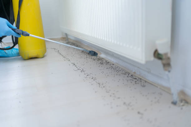 Best Pest Inspection Near Me  in Fredericktown, OH