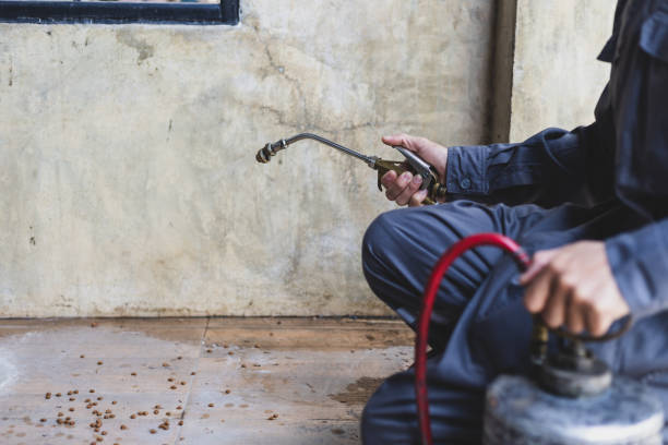 Best Termite Control Services  in Fredericktown, OH